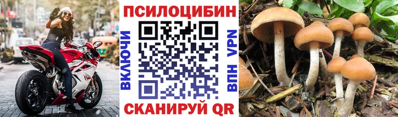 Галлюциногенные грибы ЛСД  Яхрома 